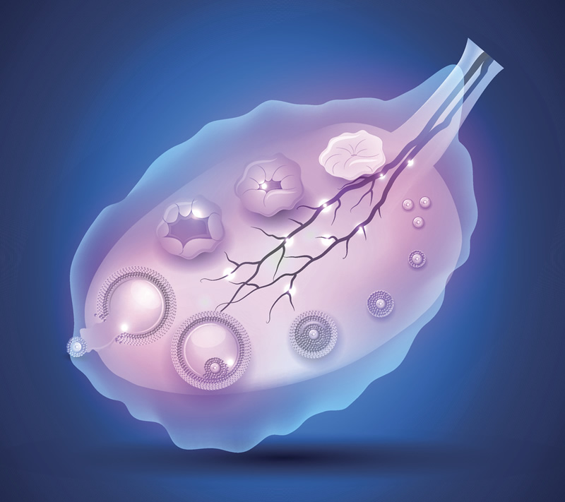 广州三代试管医院排名榜前十名